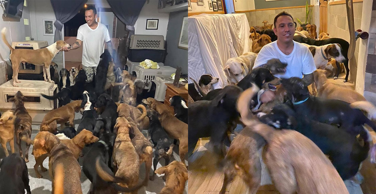 Rescatista que resguardó 300 perros en su casa pide ayuda tras paso de “Delta”