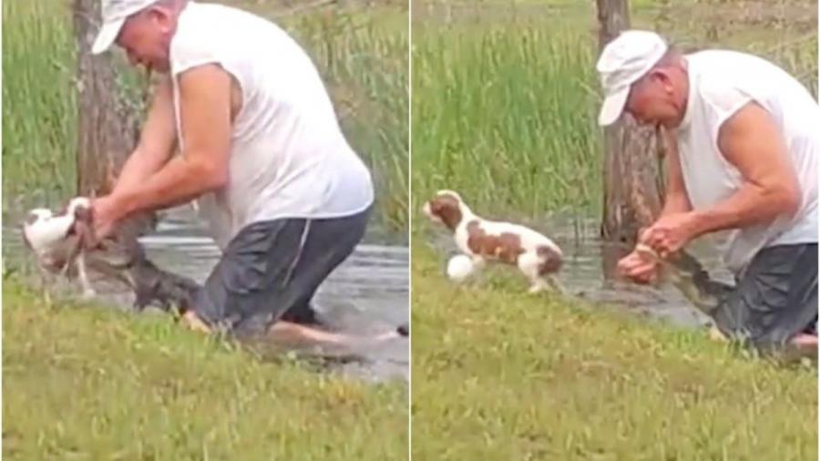 Hombre lucha con cocodrilo para rescatar a su perro y se vuelve viral