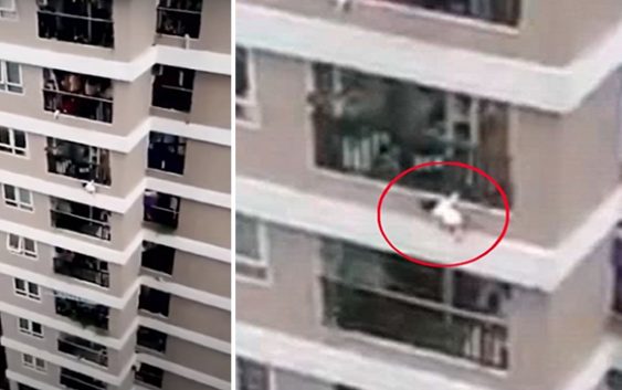 Repartidor atrapa a niña tras caer de edificio de 12 pisos en Vietnam