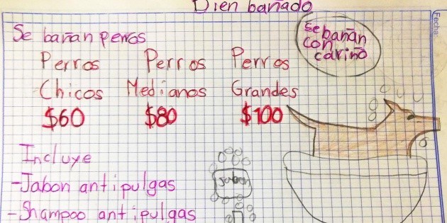 “Se bañan perros con cariño”: Niño que quiere ser veterinario inicia su propio negocio