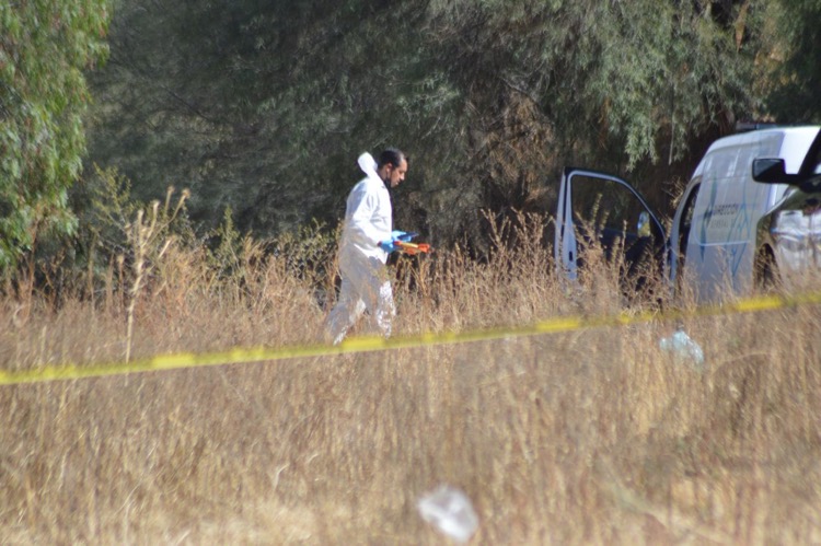 Sicarios asesinan a cinco hombres en Tangamandapio, Michoacán