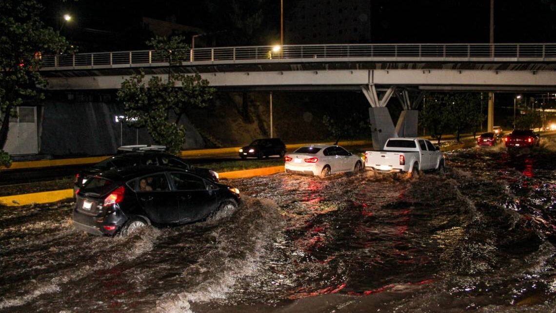Lluvia de la madrugada provoca derrumbe en vivienda y deja árboles caídos en Guadalajara
