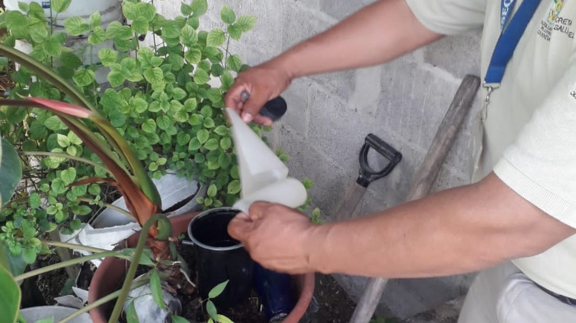 Secretaría de Salud mantiene acciones contra el dengue