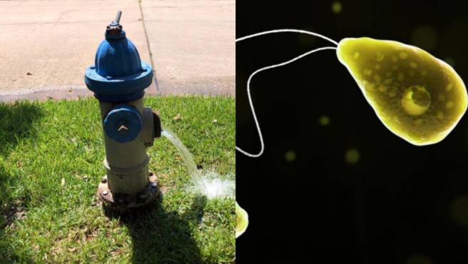 Autoridades determinan que la fuente más probable de contacto con la ameba Naegleria fowleri fue un chapoteadero