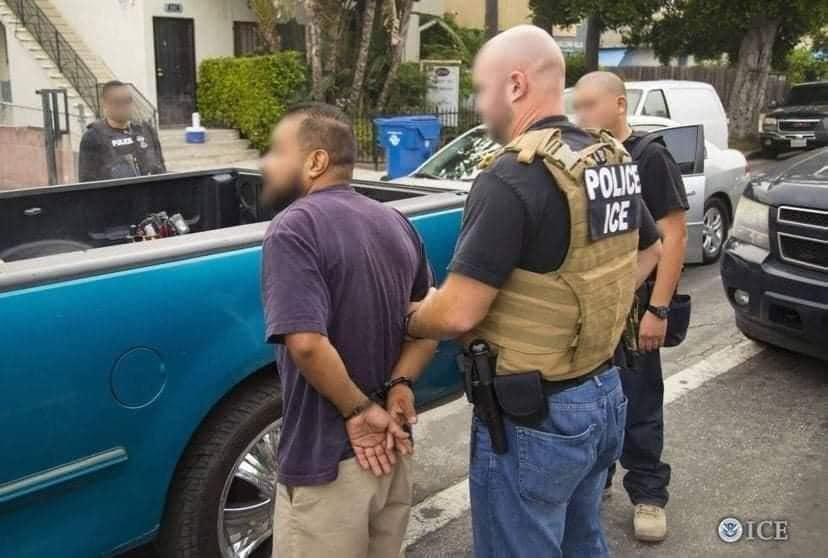 El paisano fue detenido este domingo en Los Ángeles, California