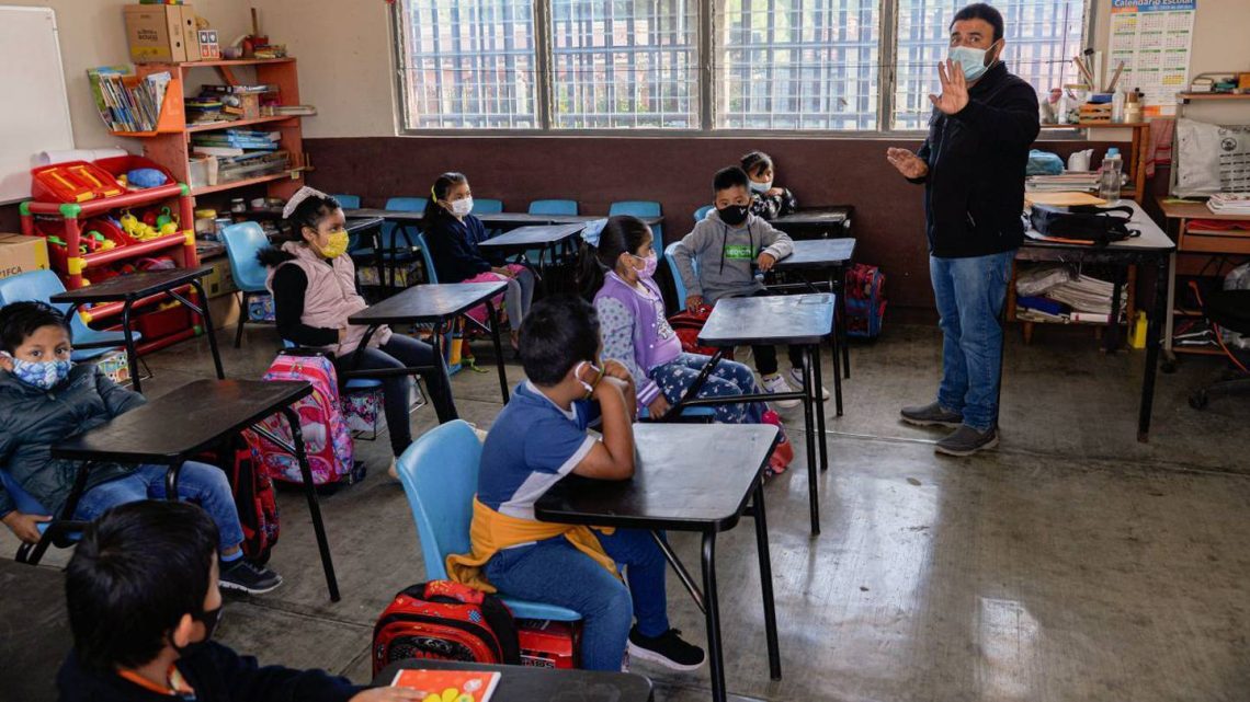 Delfina Gómez indica que un millón 508 mil 224 trabajadores de la educación han retornado a sus labores.