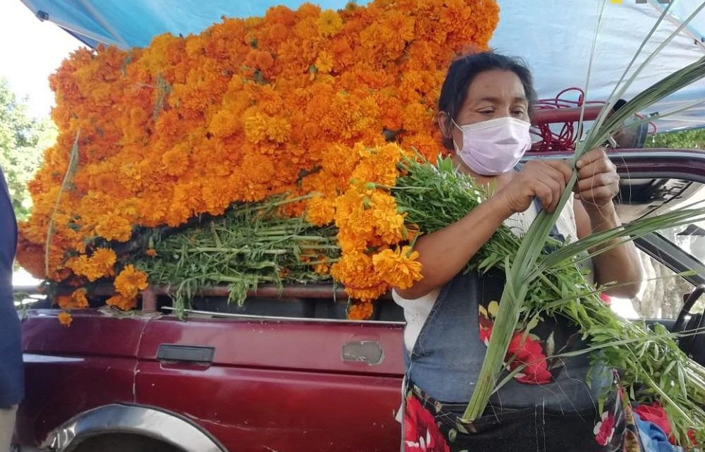 El resto de productores flor de cempasúchil, quizá el icono más importante del Día de Muertos, logran sacar adelante sus cultivos con muchos esfuerzos