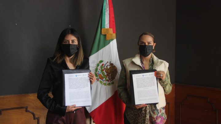 Con la finalidad de establecer mecanismos de participación y colaboración interinstitucional, la Secretaría del Trabajo (ST) y el Instituto Queretano de las Mujeres (IQM).