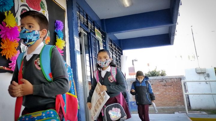 Ante la Comisión de Educación del Senado, Delfina Gómez Álvarez argumentó que la decisión de regresar a las aulas se tomó de común acuerdo con las autoridades federales y locales de Salud