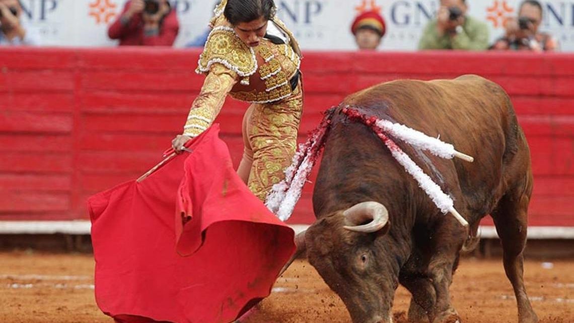 La nueva reforma en CDMX busca modificar la Ley de Protección Animal al establecer multas entre 2.46 y 4.92 millones de pesos a quienes celebren corridas de toros