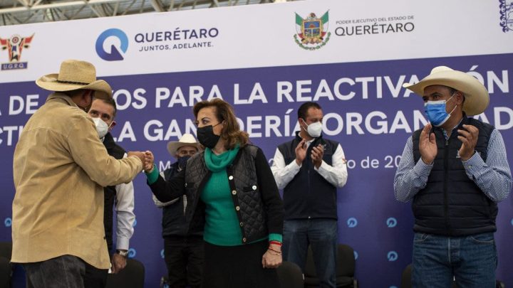 La secretaria de Gobierno, Guadalupe Murguía Gutiérrez, en representación del gobernador Mauricio Kuri, encabezó la entrega de apoyos por 15 millones de pesos.