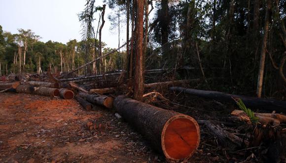 El Centro Mexicano de Derecho Ambiental documentó 25 defensores del medio ambiente asesinados en 2021, siete más que en 2020