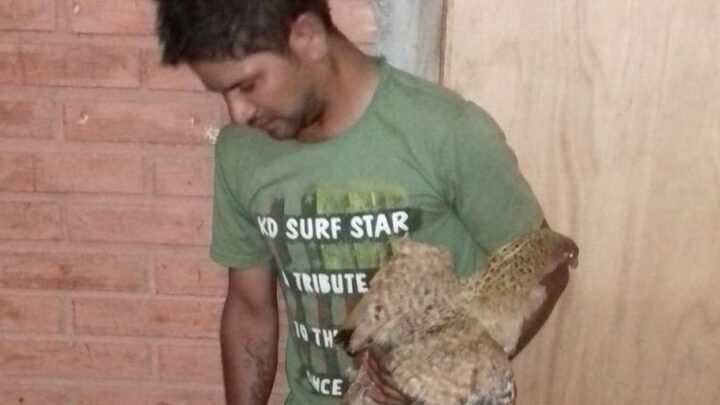 El hecho, ocurrido en marzo del año pasado y que cobró notoriedad en el país, es conocido como el caso “Cococha”