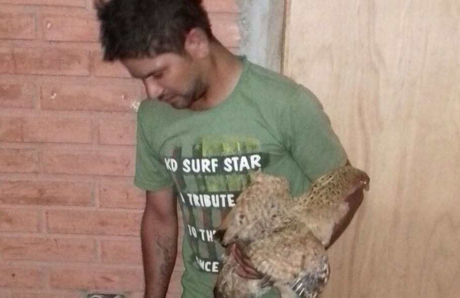 El hecho, ocurrido en marzo del año pasado y que cobró notoriedad en el país, es conocido como el caso “Cococha”