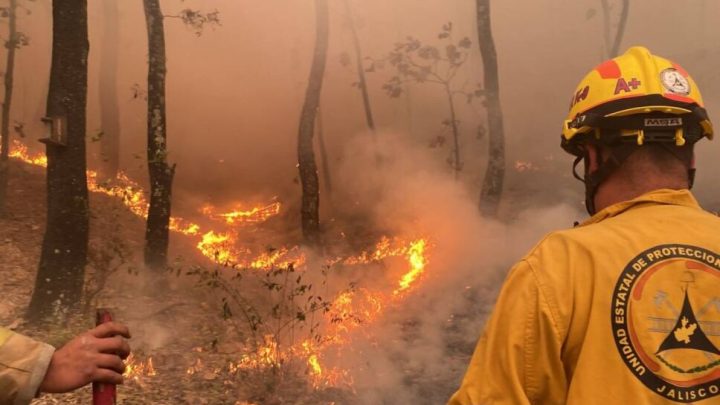 La coordinadora Nacional de Protección Civil, Laura Velázquez Alzúa, informa que de esos 33 incendios hay 10 incendios que tienen mayor riesgo