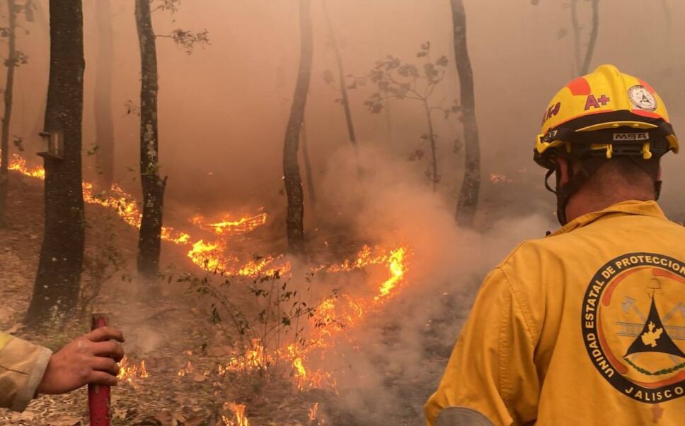 La coordinadora Nacional de Protección Civil, Laura Velázquez Alzúa, informa que de esos 33 incendios hay 10 incendios que tienen mayor riesgo