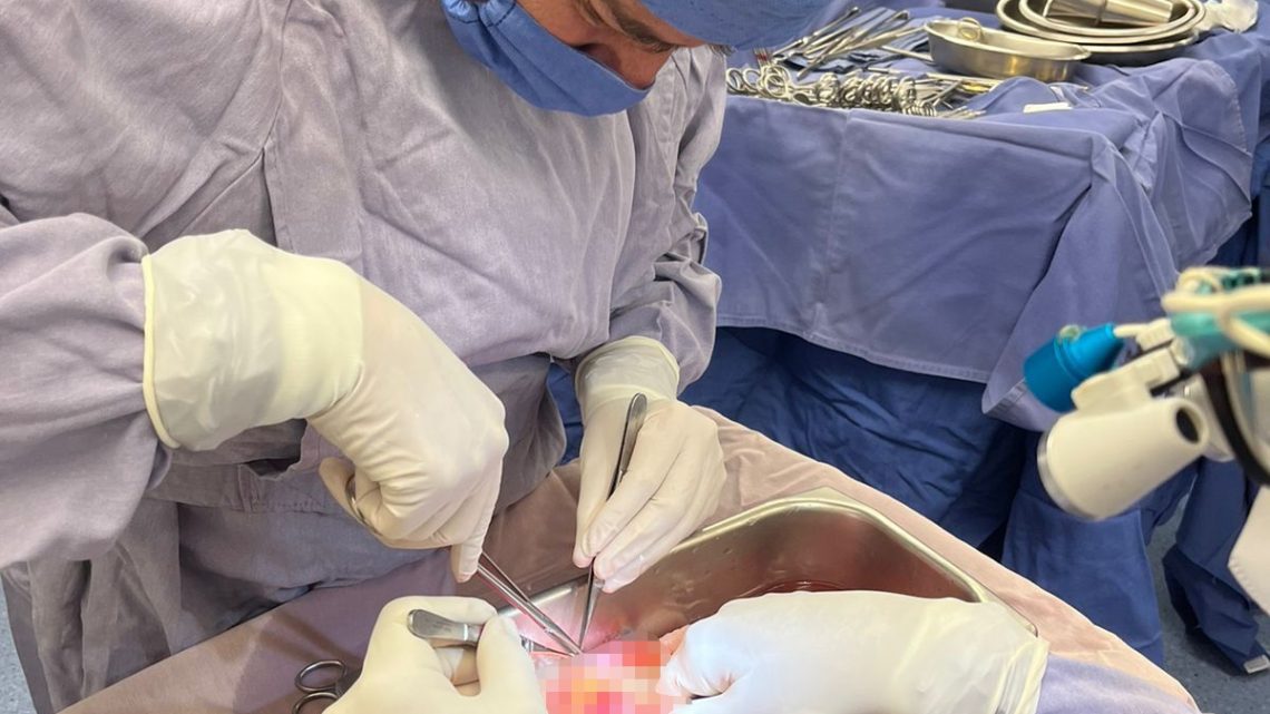 La Secretaría de Salud (SESA) del estado de Querétaro realizó dos trasplantes de riñón en el Hospital General de Querétaro.