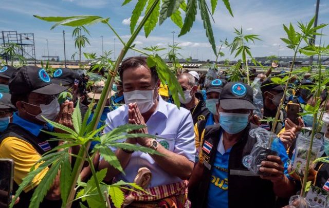 En unos pocos años, Tailandia pasó de tener una de las políticas más duras e inflexibles ante los narcóticos a establecer uno de los regímenes más liberales del mundo en cuanto a la producción y uso de la marihuana. BBC Mundo te cuenta qué hay detrás de este cambio