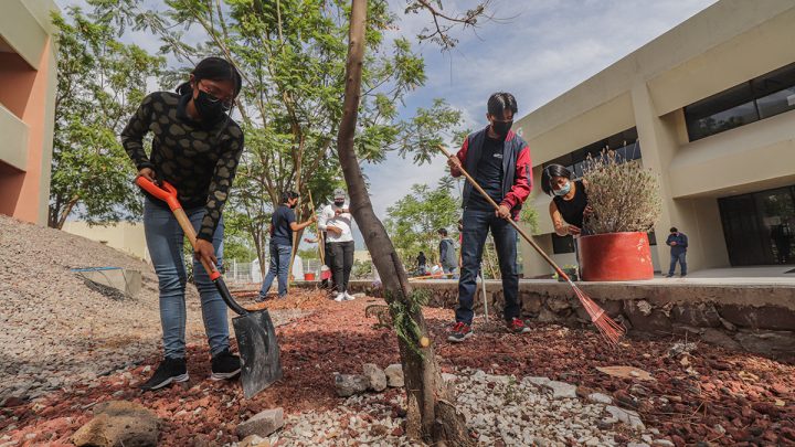 Estas acciones también forman parte de la estrategia que fortalece a la UTSJR como una institución socialmente responsable, que impulsa la formación integral y con valores en los estudiantes.