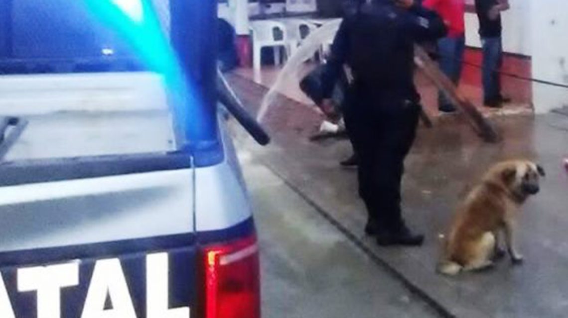 Un hombre fue atacado por dos perros cuando se dirigía a su centro de trabajo en la empresa Champimex del municipio de Amealco.