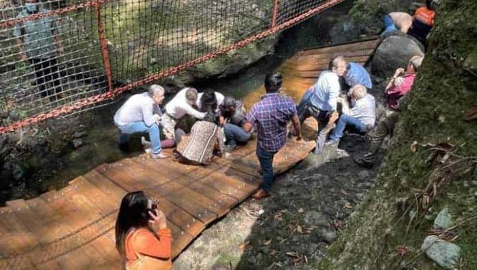 Deberán determinar si hubo negligencia, falta de mantenimiento o si fue el peso lo que provocó la caída