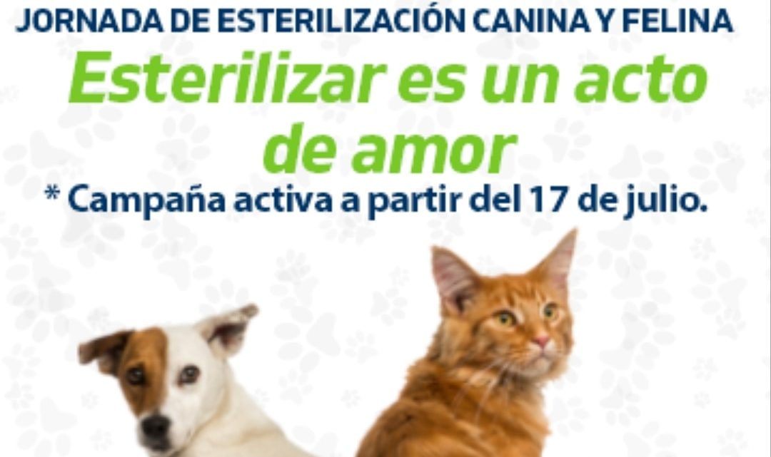 Operación 4 PATAS…  ESTERILIZAR ES UN ACTO DE AMOR 🐶