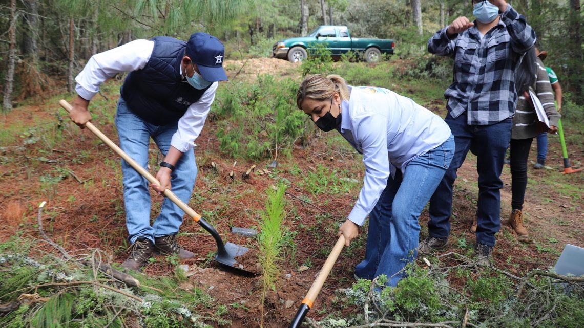 En gira de trabajo por municipios serranos, el titular de la Secretaría de Desarrollo Agropecuario (SEDEA), Rosendo Anaya Aguilar.