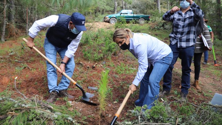 En gira de trabajo por municipios serranos, el titular de la Secretaría de Desarrollo Agropecuario (SEDEA), Rosendo Anaya Aguilar.