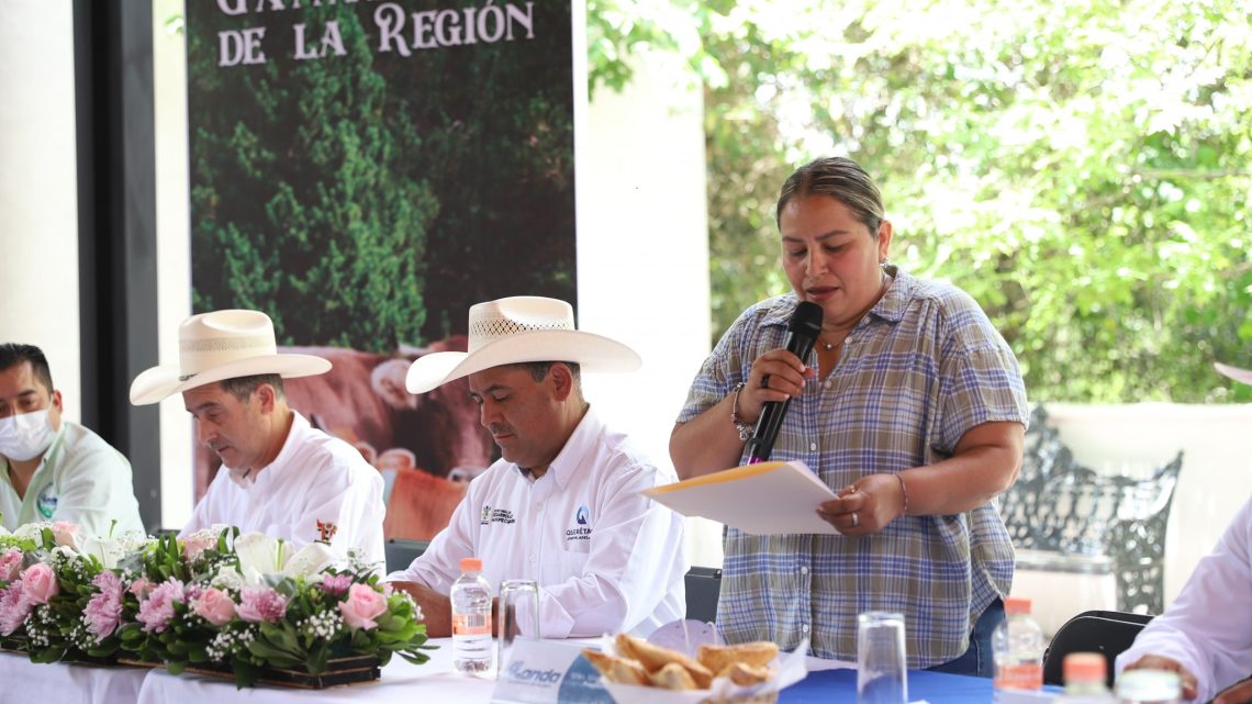 Como parte de la gira de trabajo por la Sierra Gorda del estado, el titular de la Secretaría de Desarrollo Agropecuario (SEDEA).
