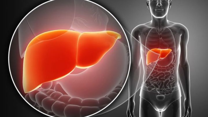 SESA se suma a la conmoración del Día Mundial contra la Hepatitis