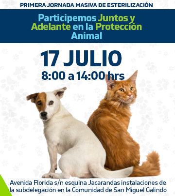 4 Patas.
