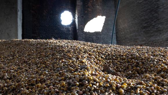Ucrania espera reanudar exportaciones de grano