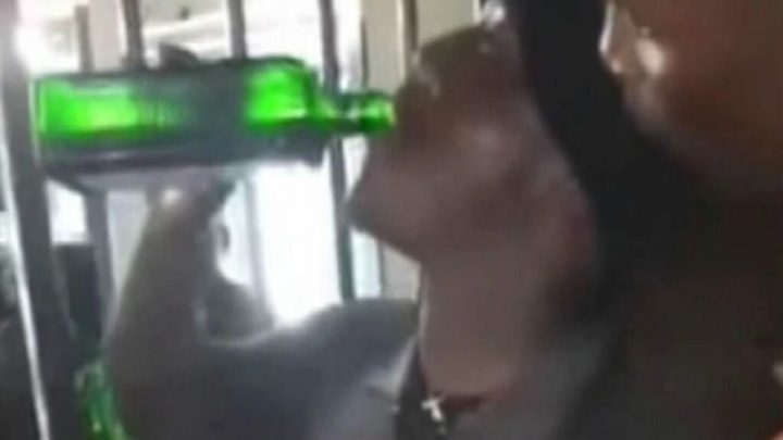 El ganador del concurso se llevaría 200 rands sudafricanos, el equivalente a 250 pesos mexicanos