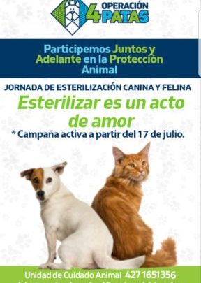 Operación 4 PATAS… ESTERILIZAR ES UN ACTO DE AMOR 🐶