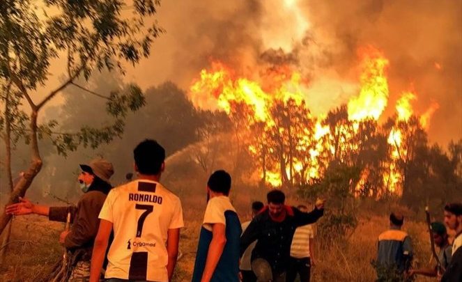 Argelia: Incendios forestales dejan 26 muertos en el norte del país