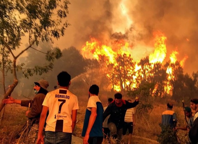 Argelia: Incendios forestales dejan 26 muertos en el norte del país