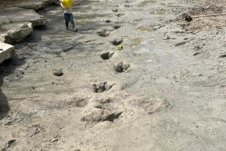 Texas: ¡Prehistórico hallazgo! Sequía deja al descubierto huellas de dinosaurios (FOTOS)