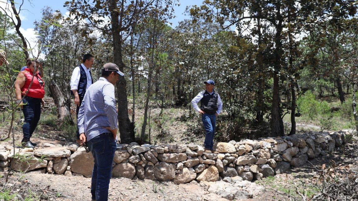 Supervisa SEDEA restauración Integral de Suelos Forestales en Ejido Perales