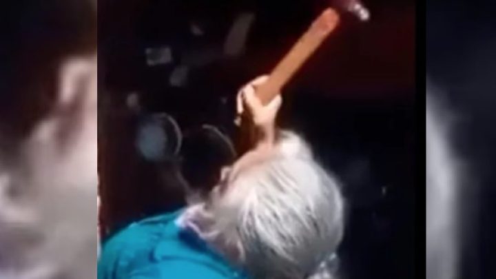 Querétaro: A martillazos en la cabeza, mujer mata a su perro