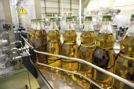 Cómo la peor sequía de la historia está devastando el “jardín de Europa” y disparando los precios del aceite de oliva