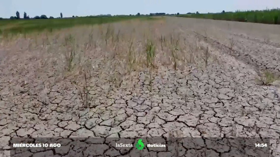 Inglaterra declara estado de sequía; restringirían el uso del agua