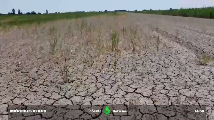 Inglaterra declara estado de sequía; restringirían el uso del agua