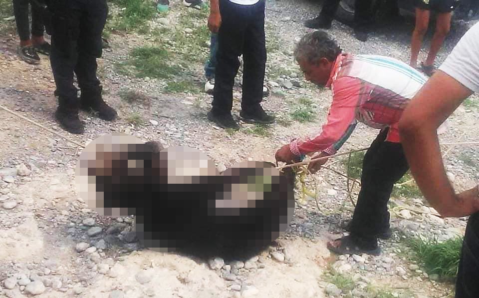 Suspenden a cinco policías por no impedir matanza de osezno