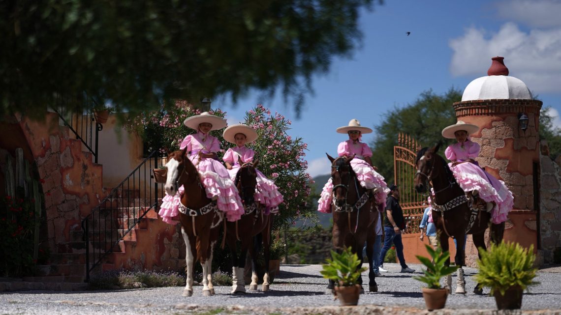 Continúa la temporada de vendimias en Querétaro, con la más mexicana en Viñedos Azteca