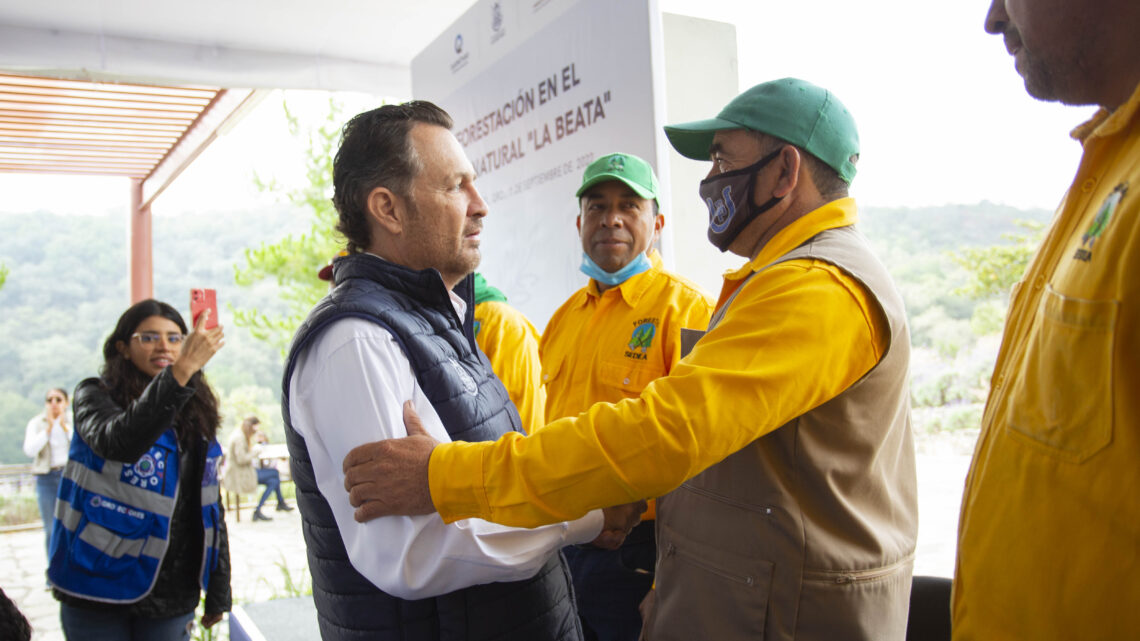 Encabeza Gobernador reforestación en Parque Nacional La Beata