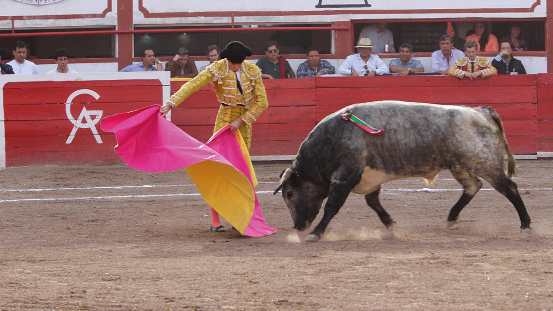 Fiesta taurina de primer nivel en San Miguel el Alto