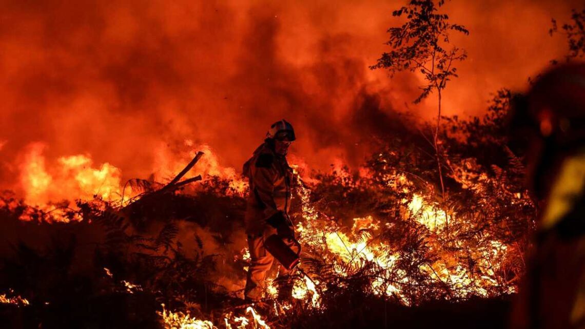 Estados Unidos: Incendio devasta 17 mil hectáreas de bosque