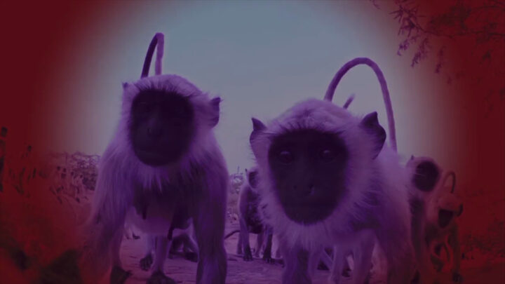 Participa Querétaro en el Festival Internacional de Cine UNAM