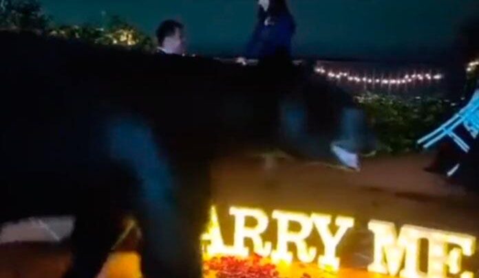 “Compermisito”: Oso interrumpe propuesta de matrimonio en Nuevo León