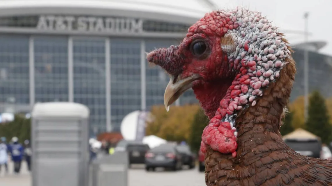 NFL, pavo, y otras tradiciones del Día de Acción de Gracias
